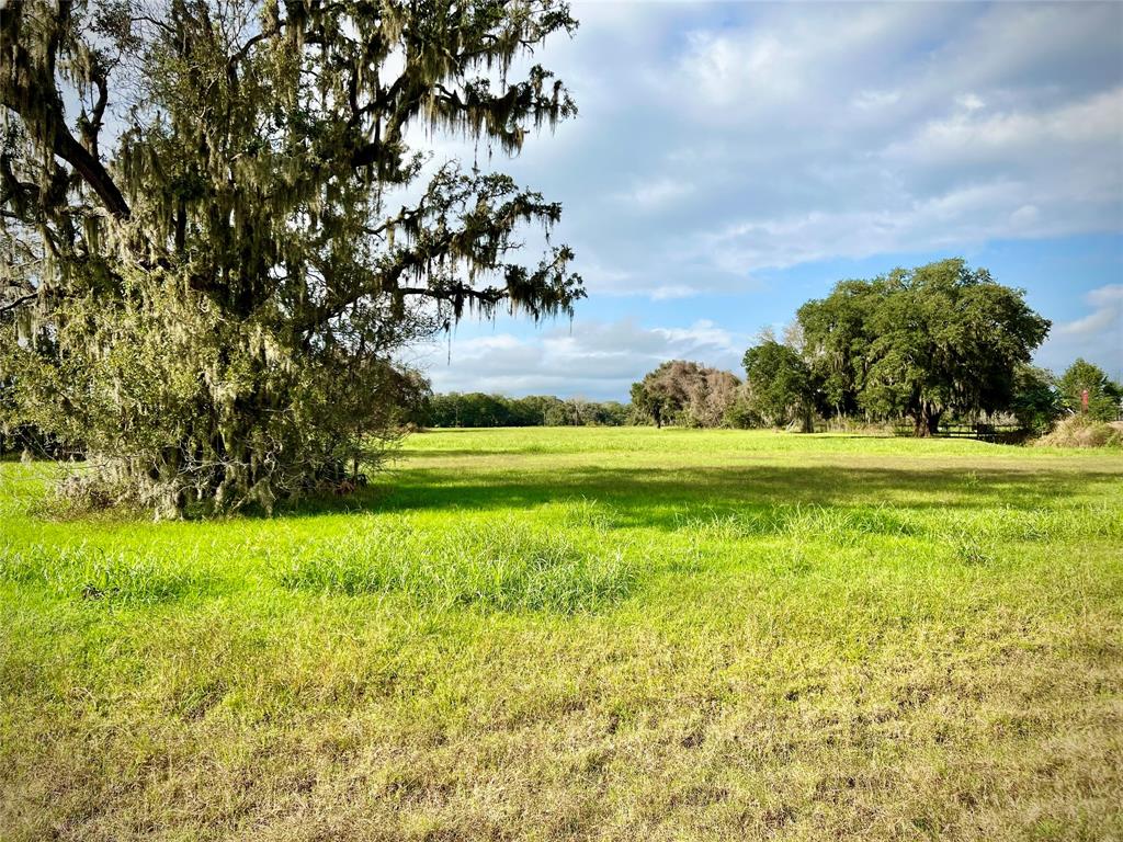 1744 Flintlock Court, Angleton, Texas image 6