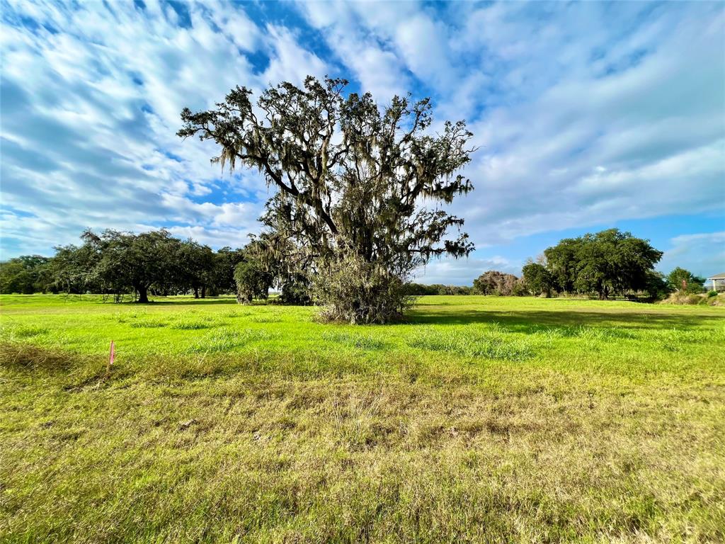 1744 Flintlock Court, Angleton, Texas image 7