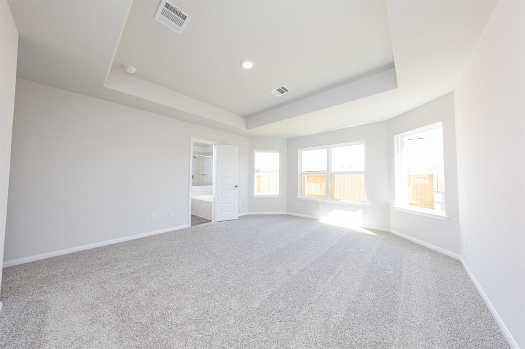 8117 Vanilla Orchid Drive, Houston, Texas image 11