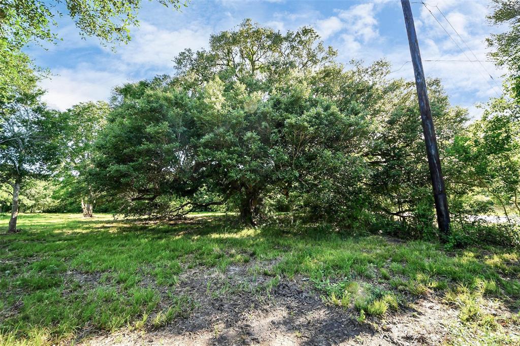 Patterson Road, Manvel, Texas image 5