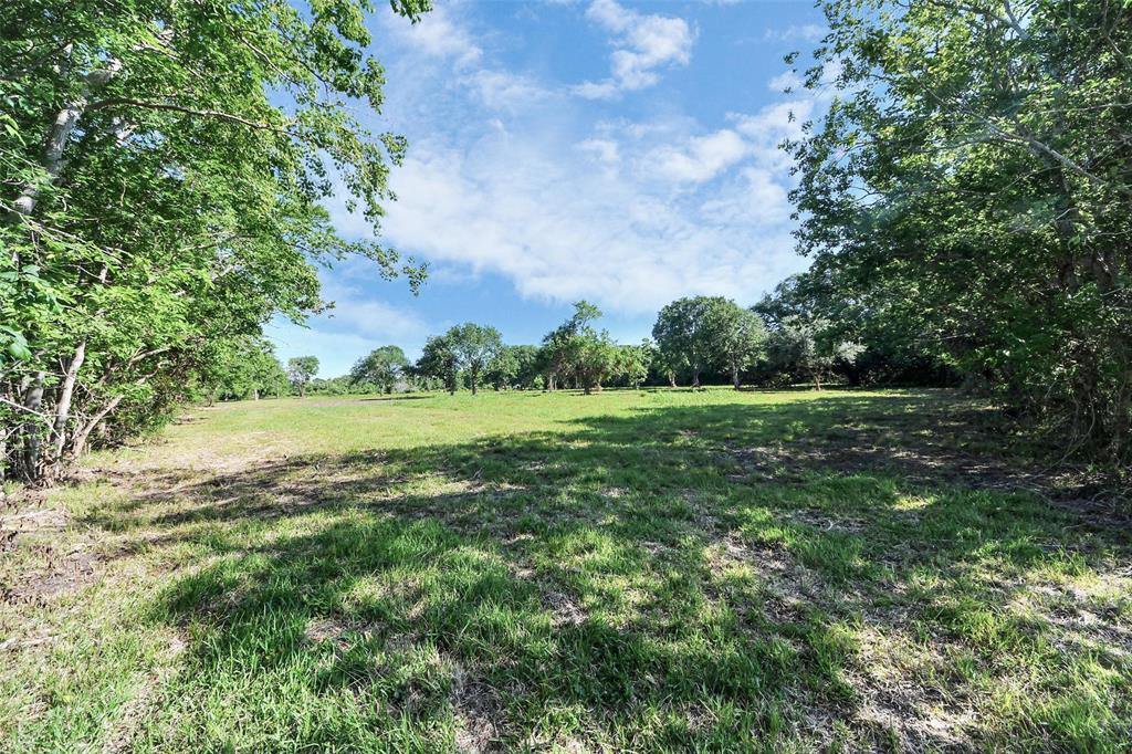 Patterson Road, Manvel, Texas image 24