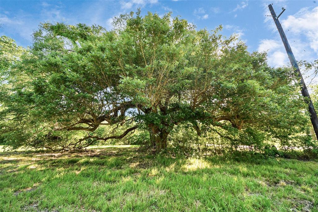 Patterson Road, Manvel, Texas image 3