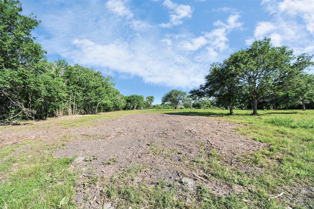 Patterson Road, Manvel, Texas image 28