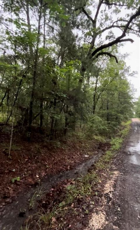 Photo of 0 Lake Circle Drive, Broaddus, TX 75929 (MLS # 10963246) Photo of 0 Lake Circle Drive, Broaddus, TX 75929 (MLS # 10963246)