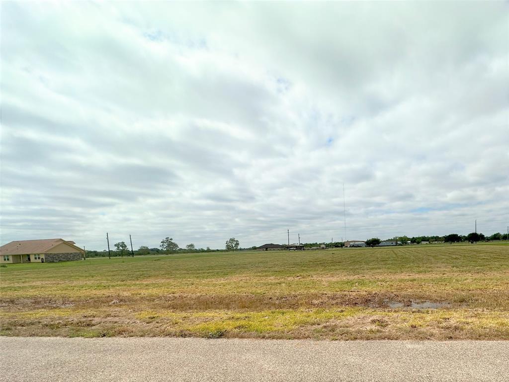 Austin Dr County Rd 197c, Alvin, Texas image 1