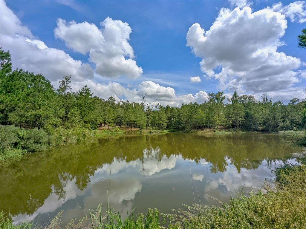 TBD State Hwy 19, Huntsville, Texas image 18