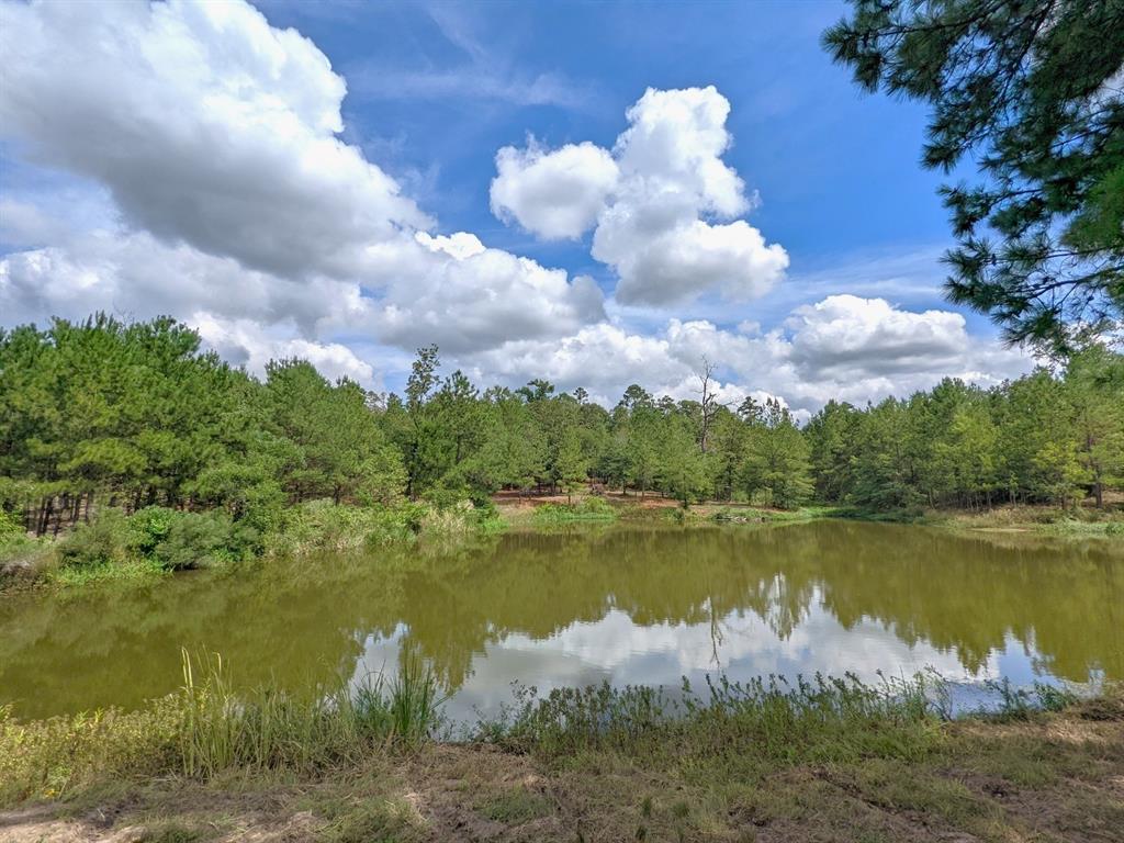 TBD State Hwy 19, Huntsville, Texas image 2