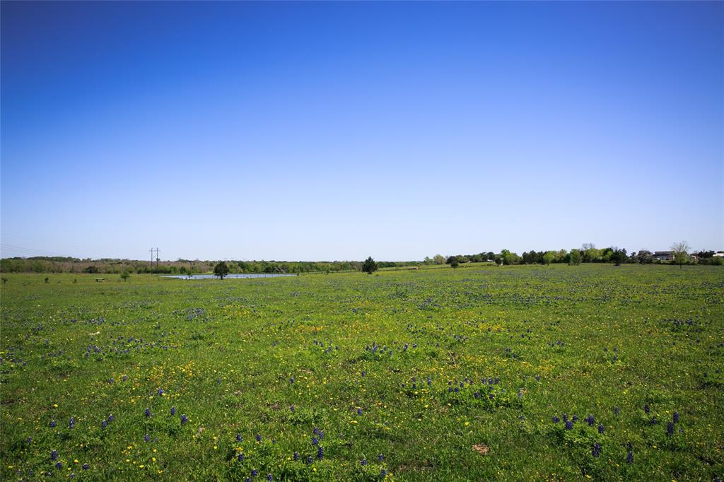 74 Acres Caney Creek Road, Chappell Hill, Texas image 4