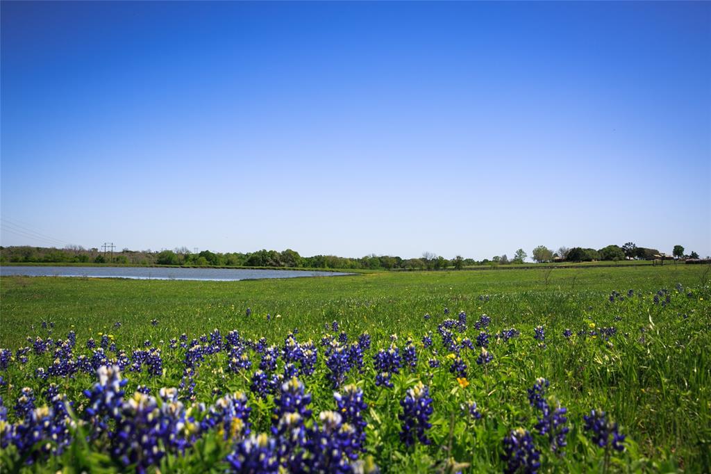 74 Acres Caney Creek Road, Chappell Hill, Texas image 1