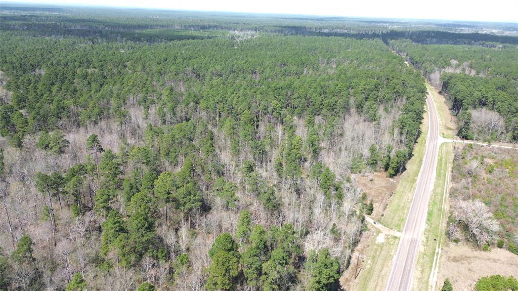 TBD Off Fm 2781, Kennard, Texas image 8