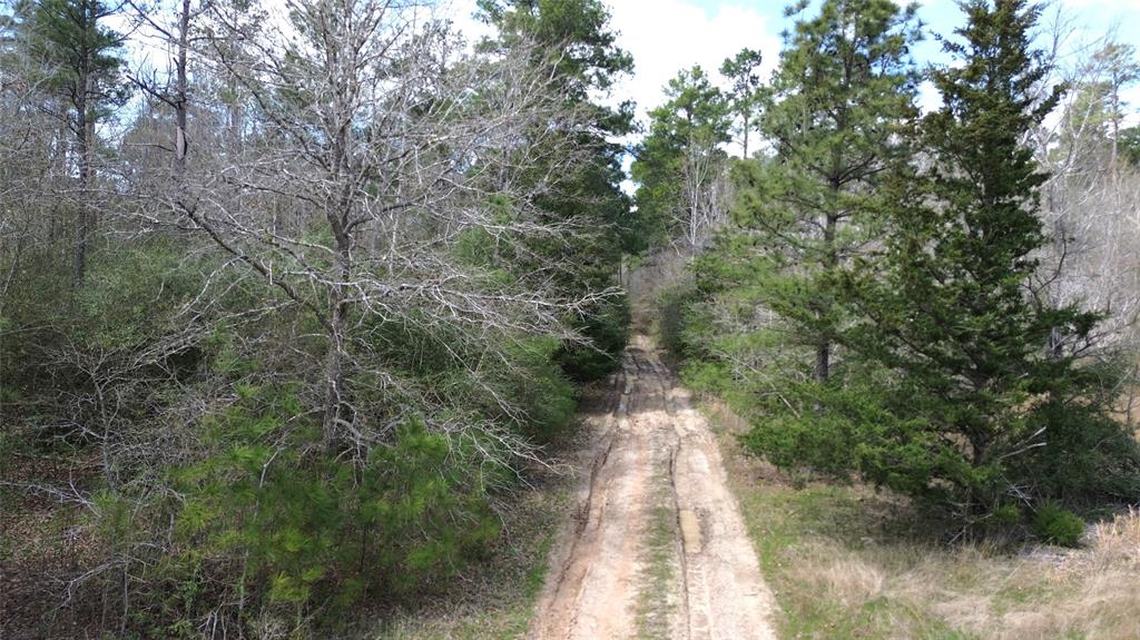 TBD Off Fm 2781, Kennard, Texas image 9
