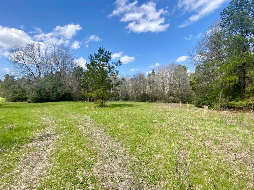 TBD Off Fm 2781, Kennard, Texas image 3