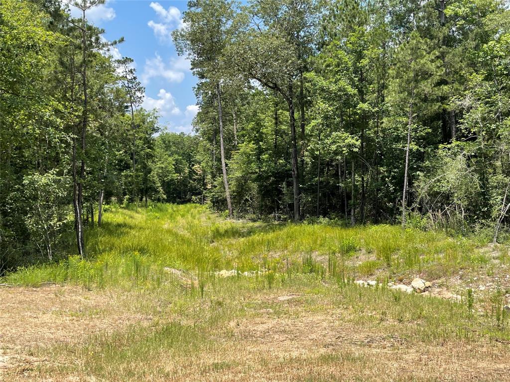 15529 Republic Park Trail