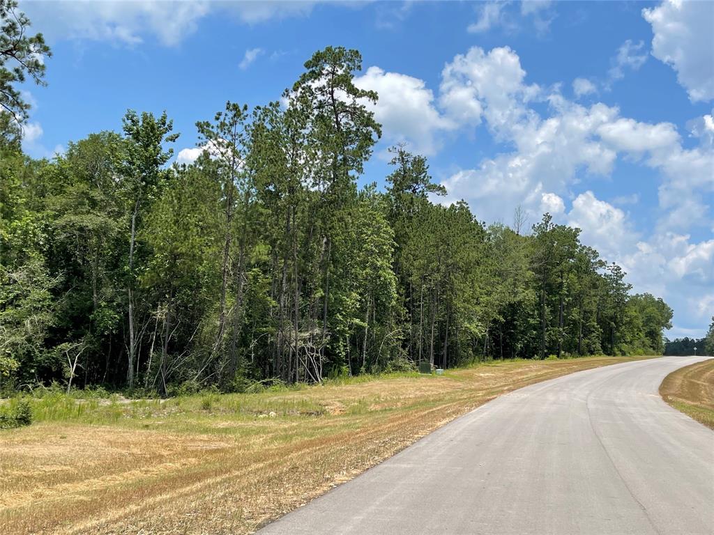 15529 Republic Park Trail