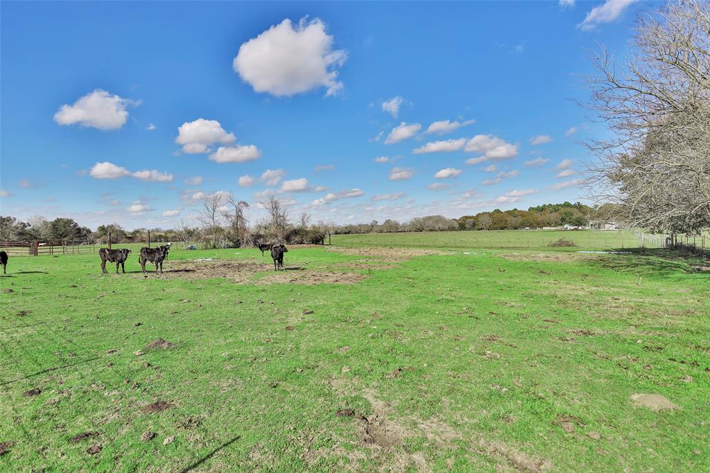 16823 Highway 105, Plantersville, Texas image 8