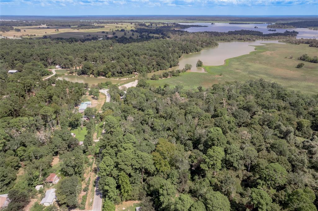 46 Brazil Boulevard, Huntsville, Texas image 17