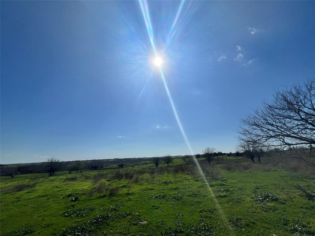 001 Blezinger Road, New Ulm, Texas image 8