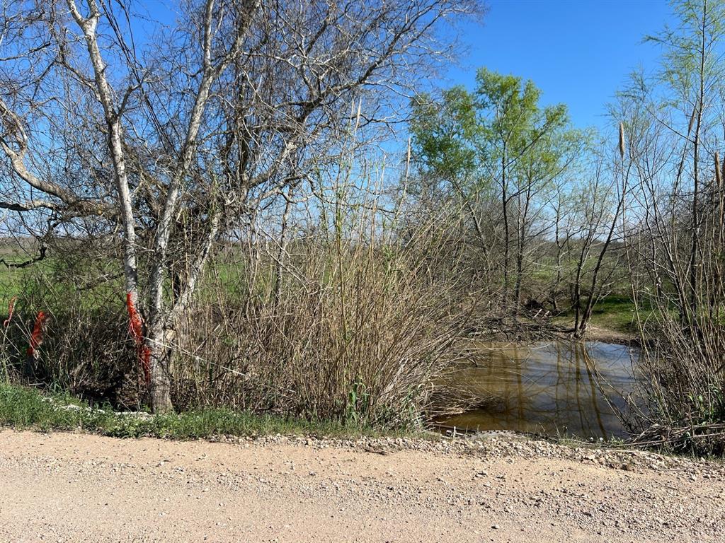 001 Blezinger Road, New Ulm, Texas image 40