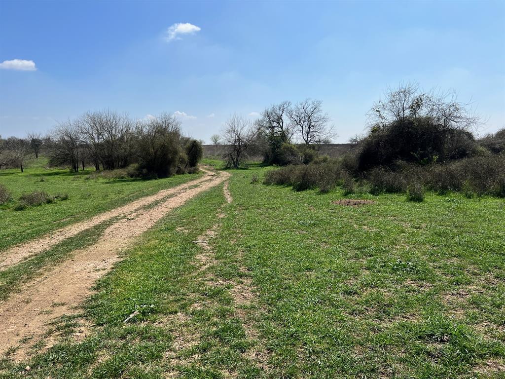 001 Blezinger Road, New Ulm, Texas image 30