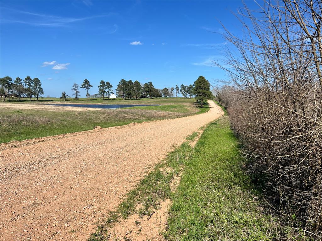 001 Blezinger Road, New Ulm, Texas image 14