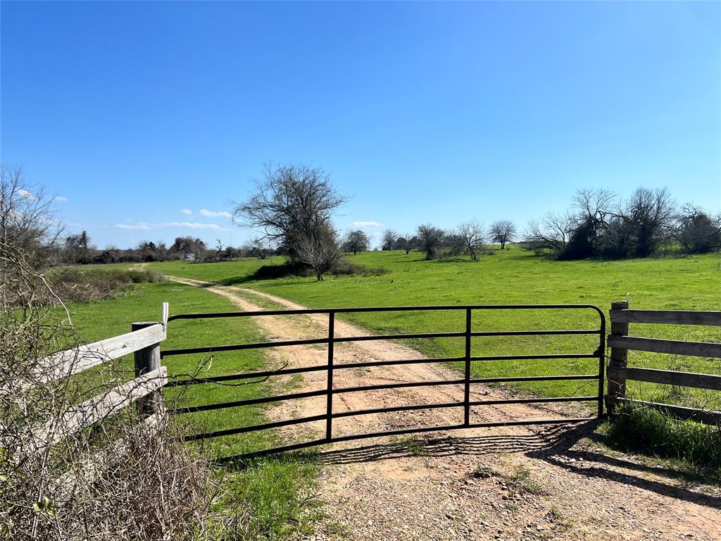 001 Blezinger Road, New Ulm, Texas image 4