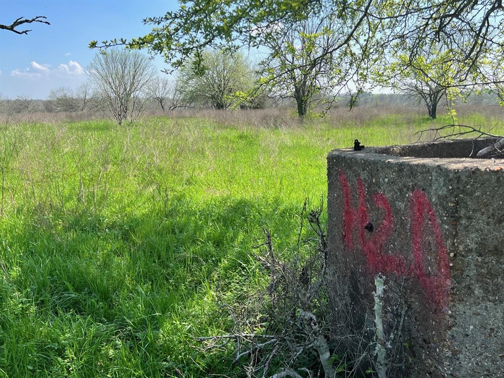 001 Blezinger Road, New Ulm, Texas image 34