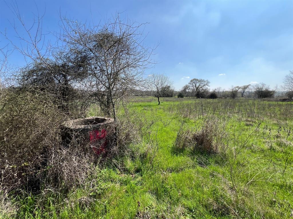 001 Blezinger Road, New Ulm, Texas image 33