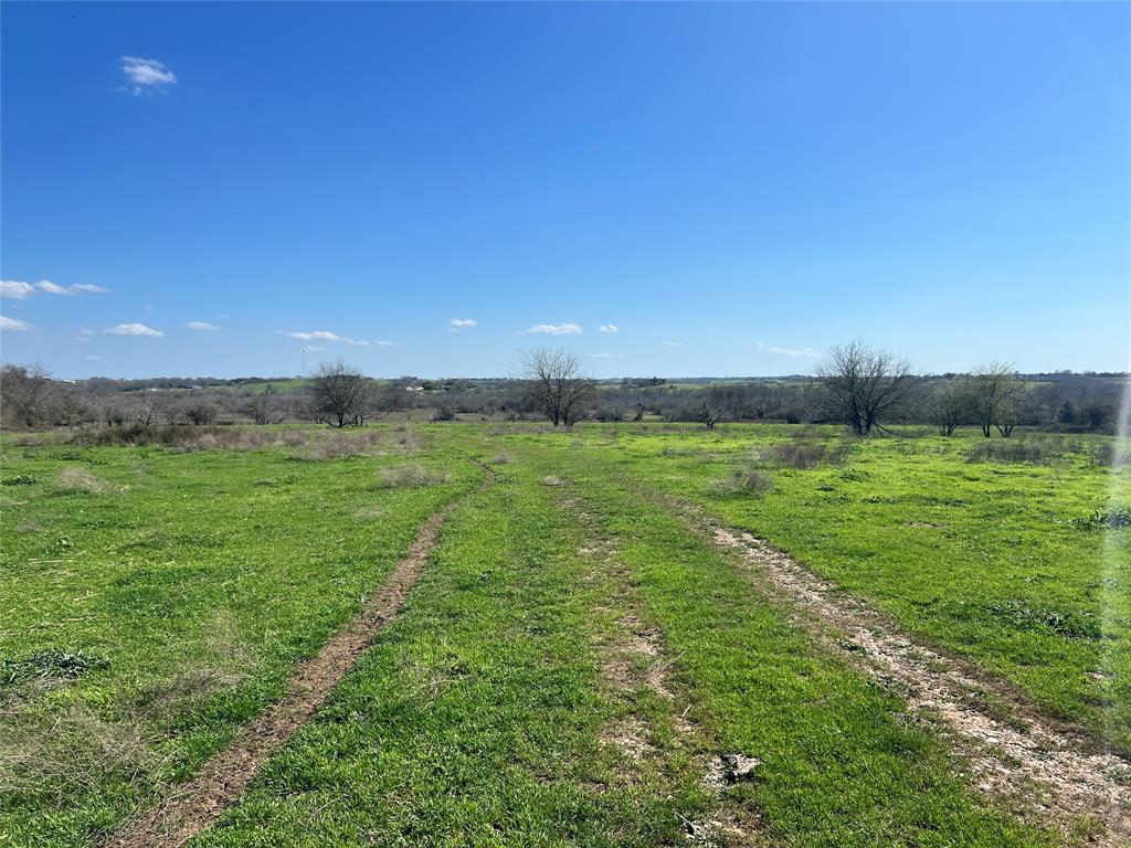 001 Blezinger Road, New Ulm, Texas image 12