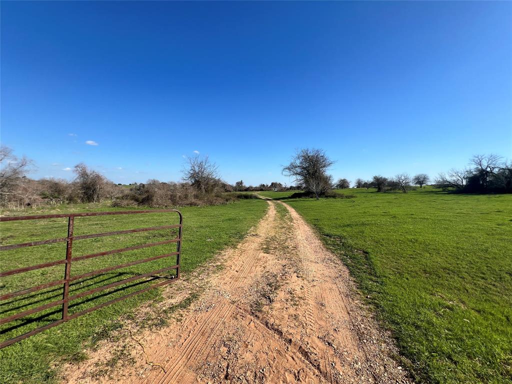 001 Blezinger Road, New Ulm, Texas image 5