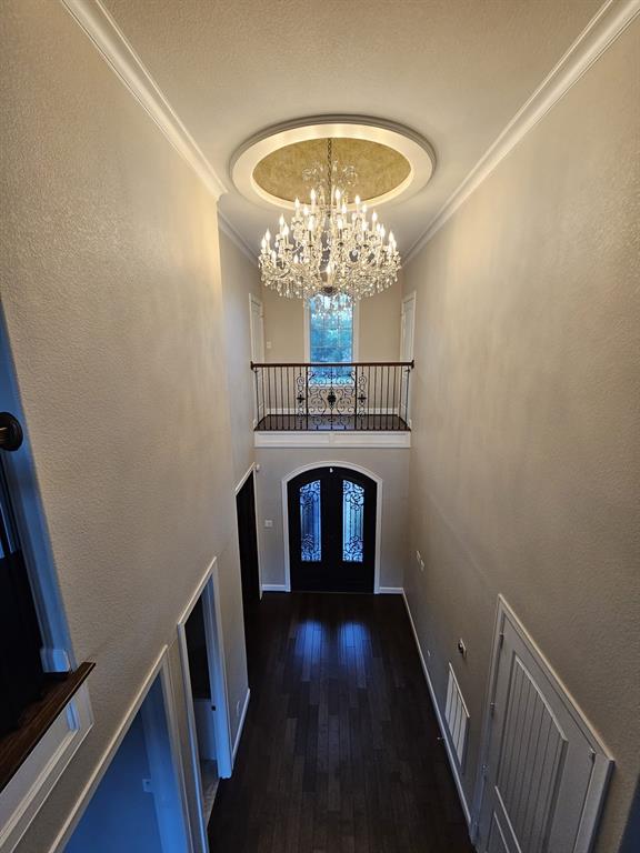 5217 W 43rd Street, Houston, Texas image 6