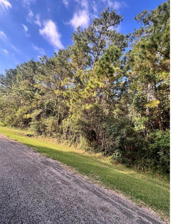 White Bass Lane, Livingston, Texas image 1