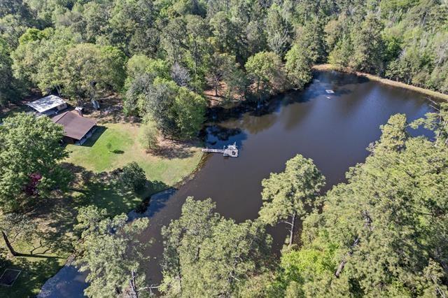 527 E Walton Road, Lumberton, Texas image 33