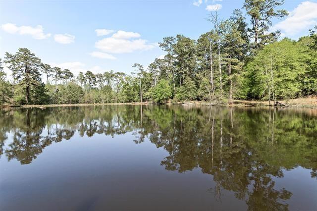 527 E Walton Road, Lumberton, Texas image 23