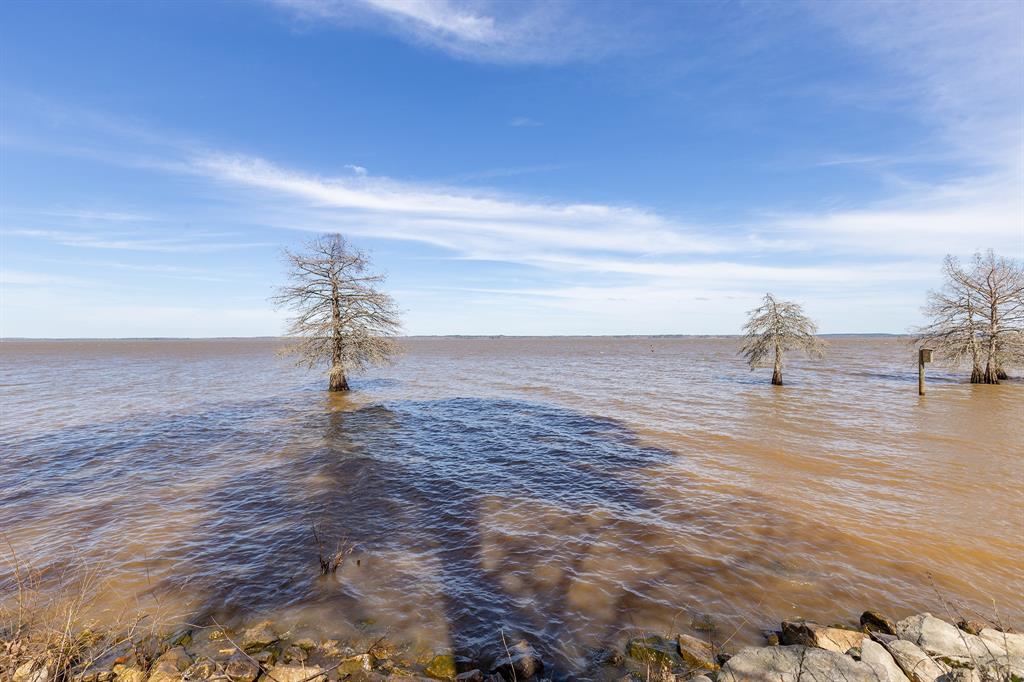 158 County Road 2790, Shelbyville, Texas image 13