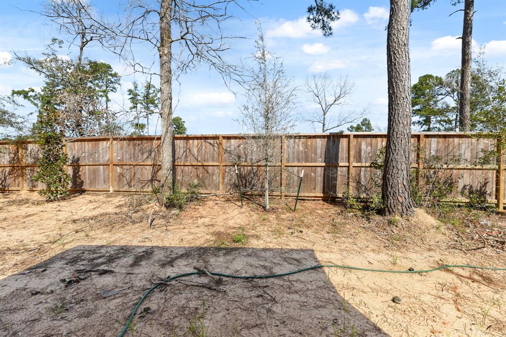 259 Garden Rose Trail, Conroe, Texas image 19