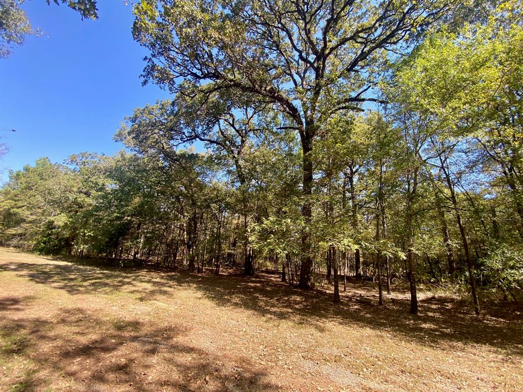 TBD Oak Forest Lane, Crockett, Texas image 30