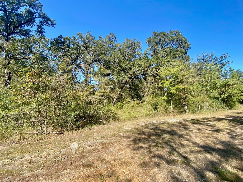 TBD Oak Forest Lane, Crockett, Texas image 26