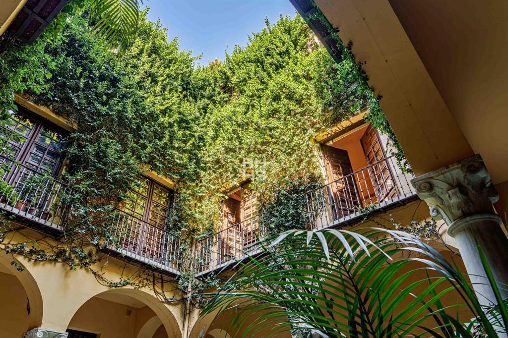 29015, Spain, 7 Bedrooms Bedrooms, ,3 BathroomsBathrooms,Residential,Active,181457