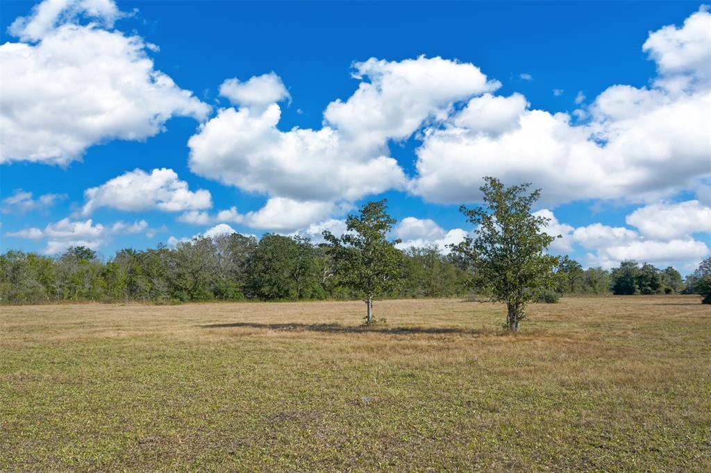 Lot 14 County Rd 229, Bedias, Texas image 3