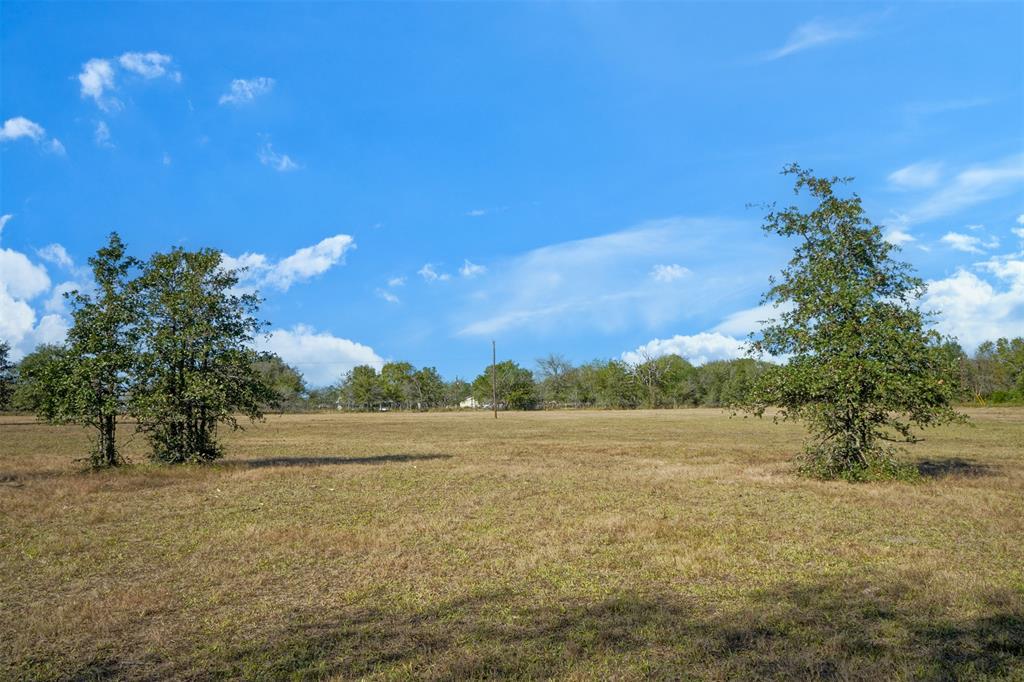 Lot 14 County Rd 229, Bedias, Texas image 2