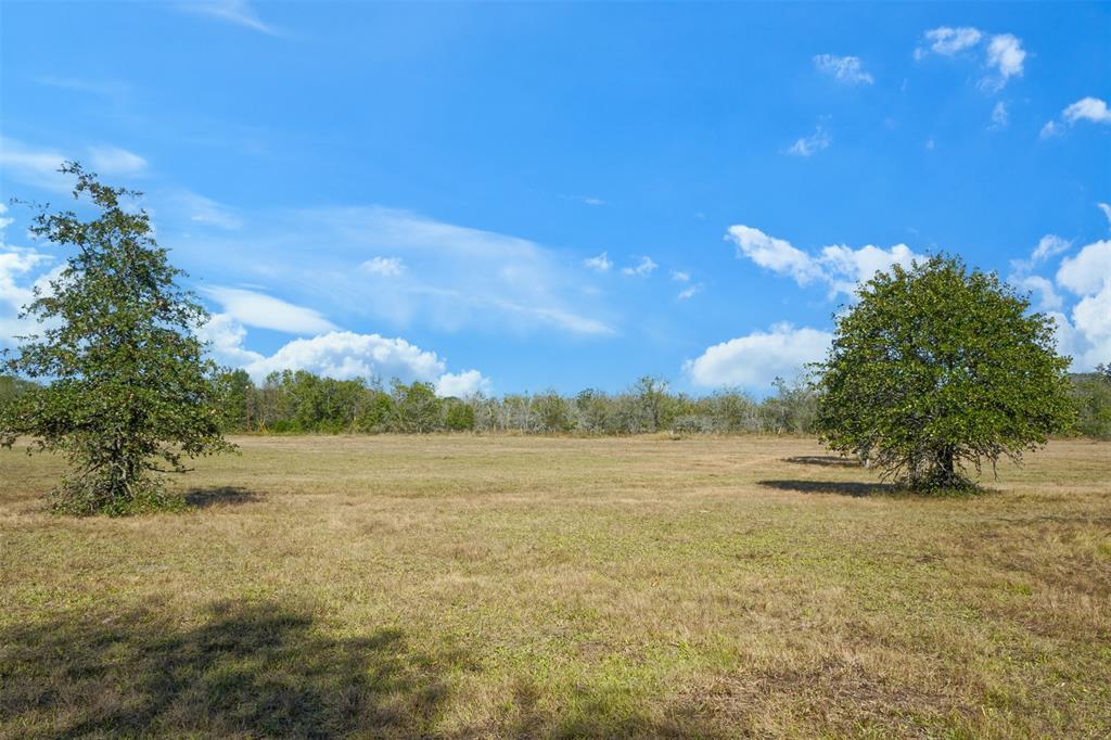 Lot 14 County Rd 229, Bedias, Texas image 7