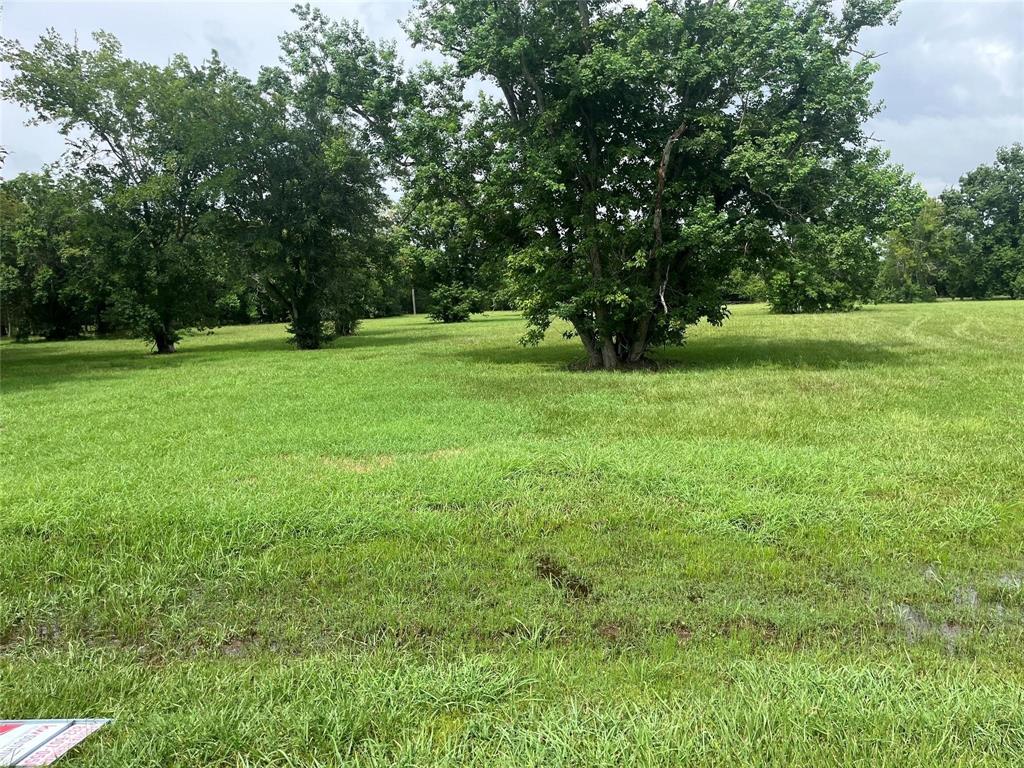 6703 Rustling Oaks Drive, Rosenberg, Texas image 2