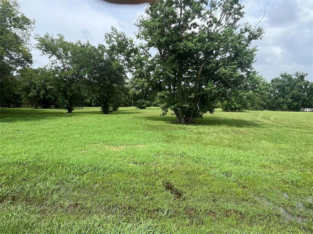 6703 Rustling Oaks Drive, Rosenberg, Texas image 1