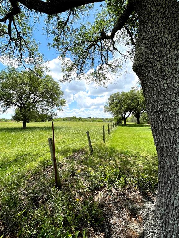 Clipson Road Road, Eagle Lake, Texas image 11