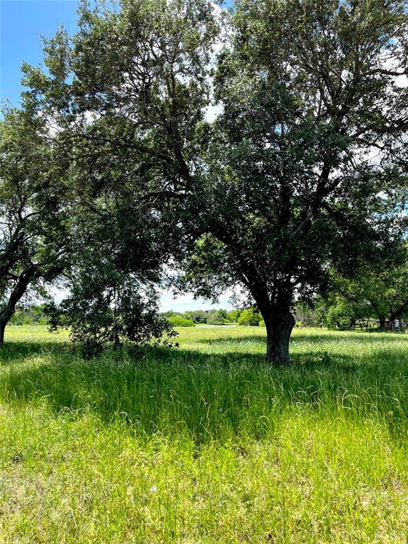 Clipson Road Road, Eagle Lake, Texas image 4