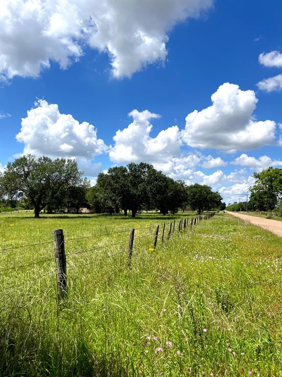 Clipson Road Road, Eagle Lake, Texas image 12