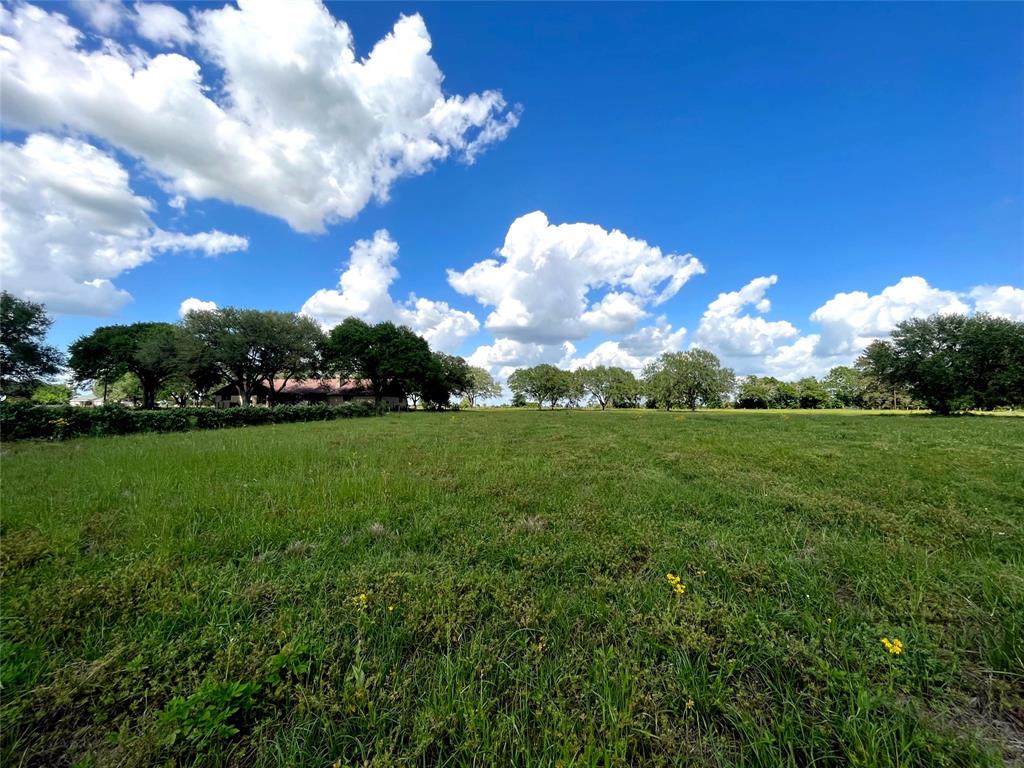 Clipson Road Road, Eagle Lake, Texas image 9