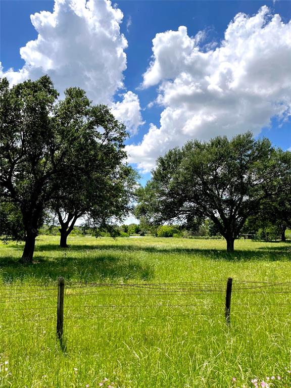 Clipson Road Road, Eagle Lake, Texas image 7