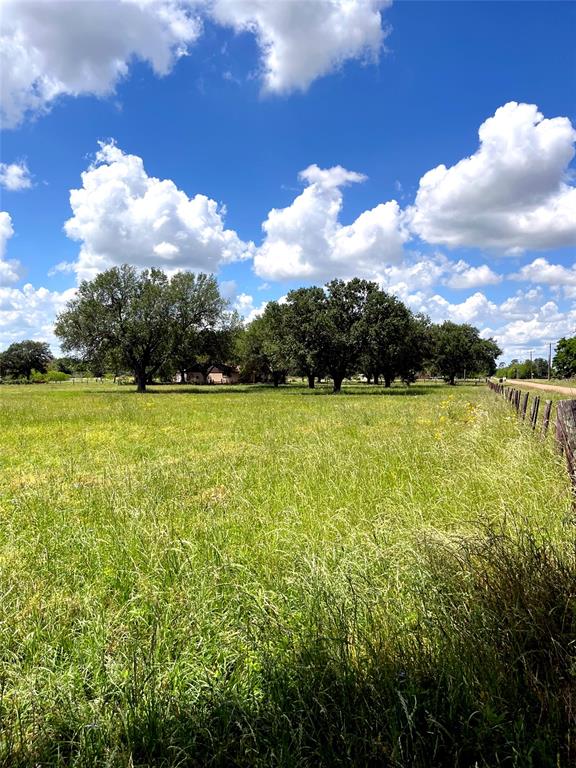 Clipson Road Road, Eagle Lake, Texas image 5