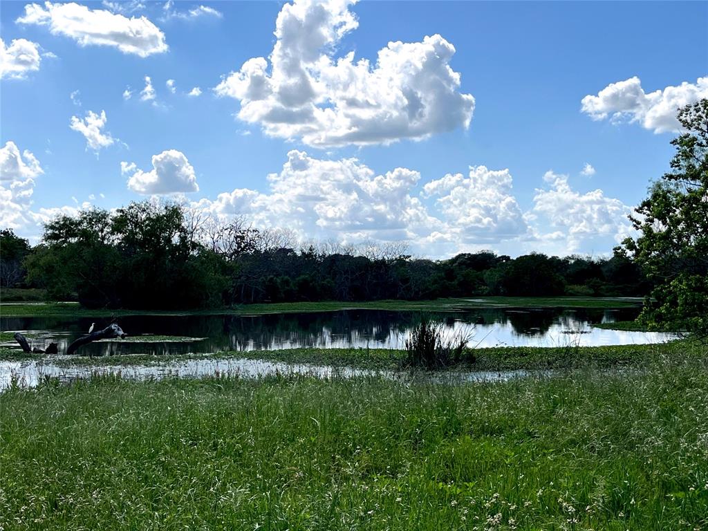 Clipson Road Road, Eagle Lake, Texas image 10